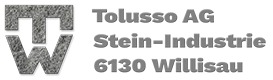 Tolusso Logo